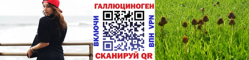 Псилоцибиновые грибы Magic Shrooms  купить закладку  Куйбышев 